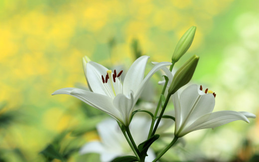 1058697 (a): :2880x1800